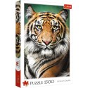 Puzzle - "1500" - Portret tygrysa Trefl 26204 Puzzle - "1500" - Portret tygrysa Trefl 26204