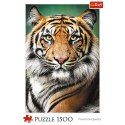 Puzzle - "1500" - Portret tygrysa Trefl 26204 Puzzle - "1500" - Portret tygrysa Trefl 26204